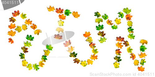 Image of Word AUTUMN composed of autumn maple leafs