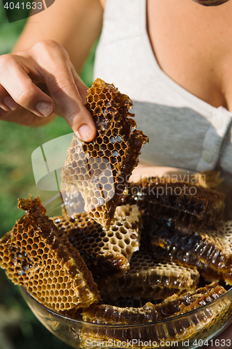 Image of Honeycomb in hand