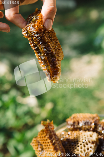 Image of Fingers with delicious and organic honeycomb