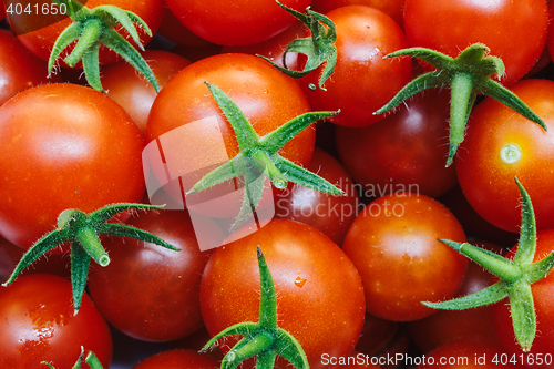 Image of Group of fresh tomatoes