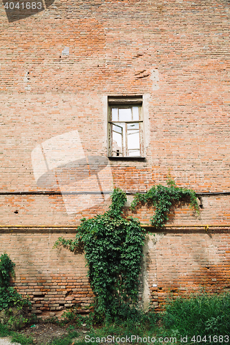 Image of Brickwall with old window and growing plant