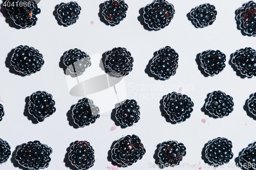 Image of Fresh blackberry background on white