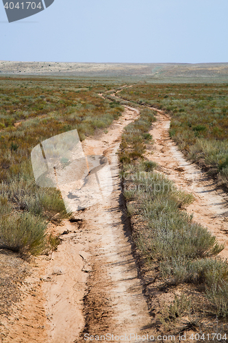 Image of Road through the grassland