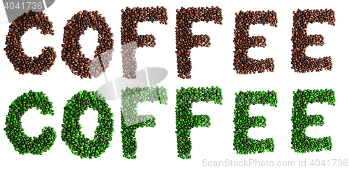 Image of green and brown coffee isolated