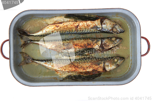 Image of baked mackerel fish 