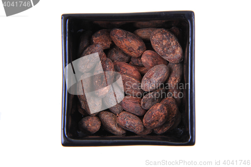 Image of cocoa beans isolated