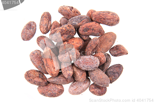 Image of cocoa beans isolated