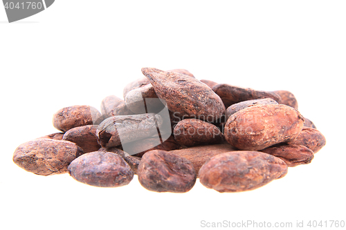 Image of cocoa beans isolated