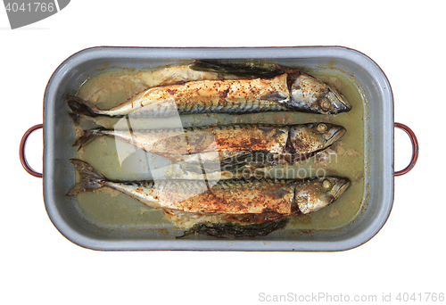 Image of baked mackerel fish 