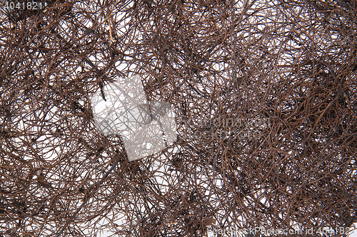Image of natural straw texture