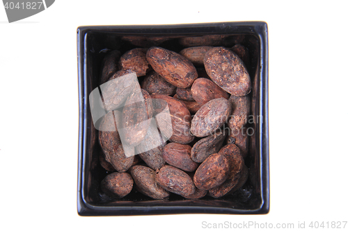 Image of cocoa beans isolated