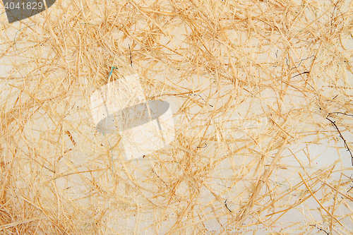 Image of natural straw texture