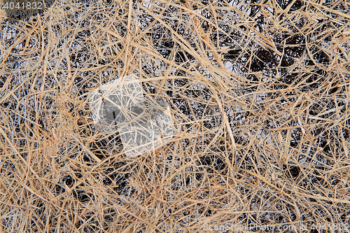 Image of natural straw texture