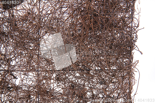 Image of natural straw texture