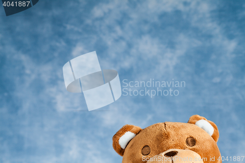 Image of Lovely Teddy Bear