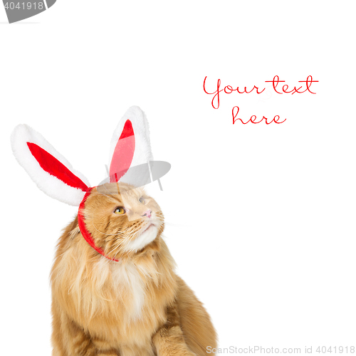 Image of Big ginger cat in christmas rabbit ears head rim