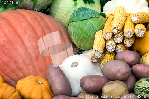 Image of Vegetable harvest is sold at the fair.