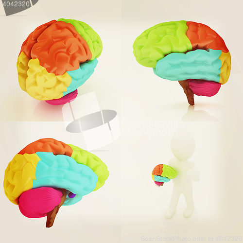 Image of Colorfull human brain. 3D illustration. Vintage style.