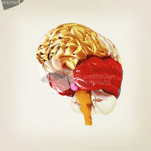 Image of Colorfull human brain. 3D illustration. Vintage style.