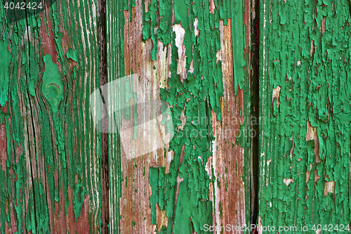 Image of Weathered green Wood Background