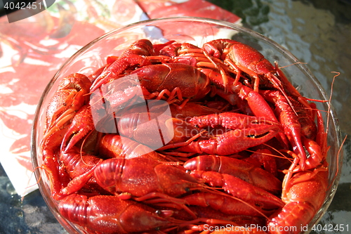 Image of Crayfish