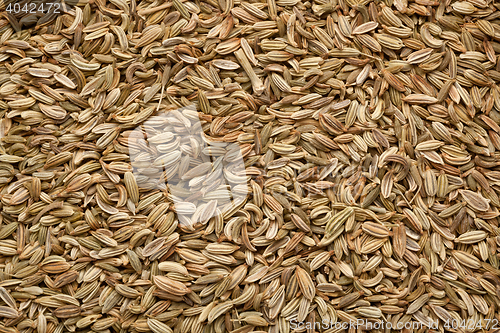 Image of Fennel seeds