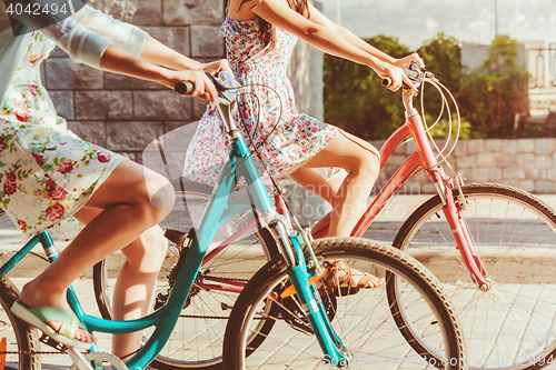 Image of The two young girls with bicycles in park