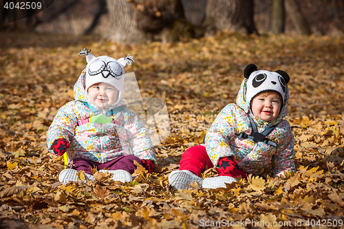 Image of The two little baby girls sitting in autumn leaves