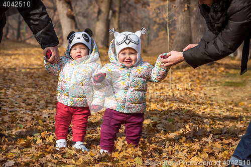 Image of The two little baby girls standing in autumn leaves