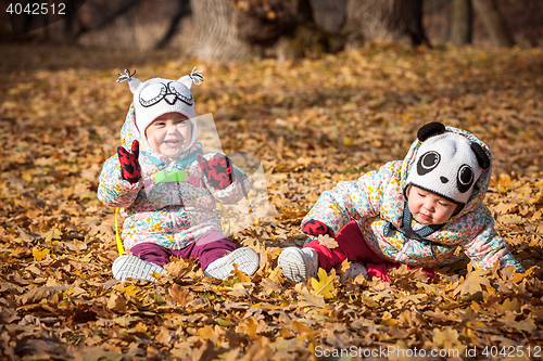 Image of The two little baby girls sitting in autumn leaves