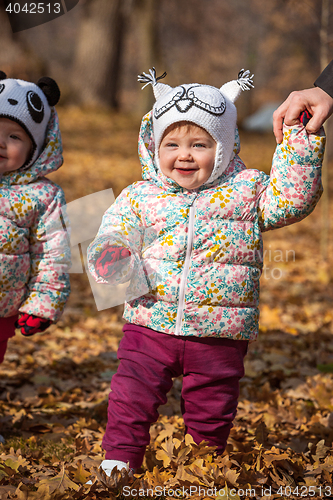 Image of The two little baby girls standing in autumn leaves