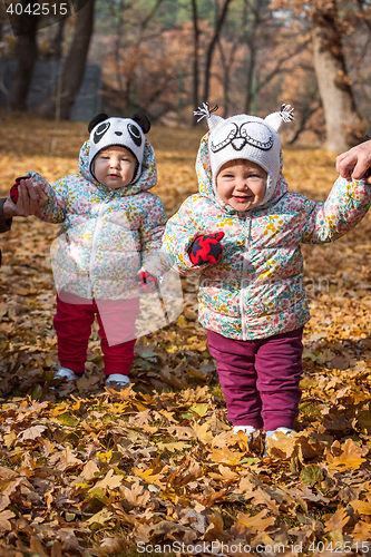 Image of The two little baby girls standing in autumn leaves