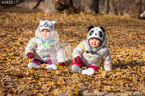 Image of The two little baby girls sitting in autumn leaves