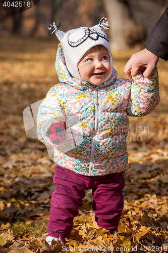 Image of The little baby girl standing in autumn leaves
