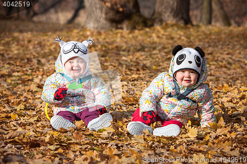 Image of The two little baby girls sitting in autumn leaves