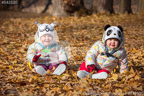 Image of The two little baby girls sitting in autumn leaves