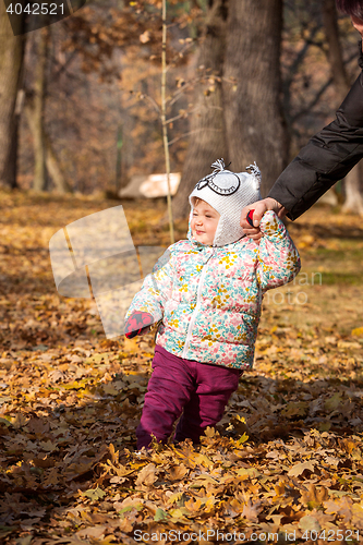 Image of The little baby girl standing in autumn leaves