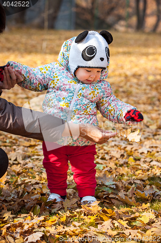 Image of The little baby girl standing in autumn leaves