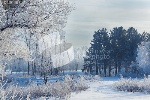 Image of winter landscape of snow-covered fields, trees 