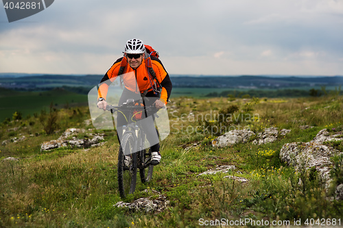 Image of Young man cycling on a rural road through green meadow