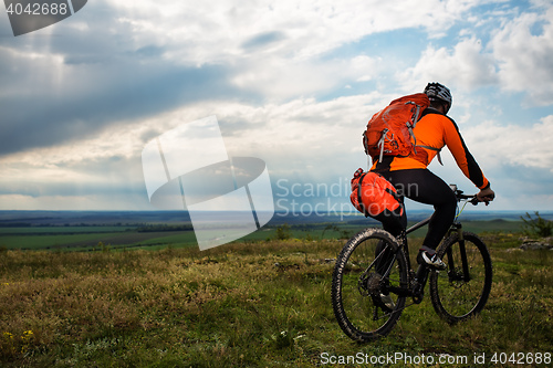 Image of Young man cycling on a rural road through green meadow