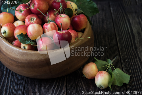 Image of Fresh harvest of apples