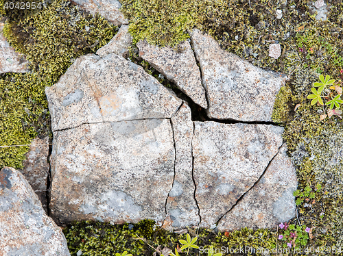 Image of Frost leaves Destructive Patterns in a Stone