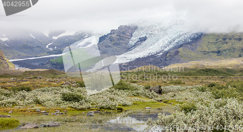 Image of Iceland in the summer