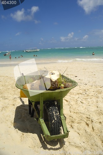 Image of Coconut drink in wheelbarrow on beach