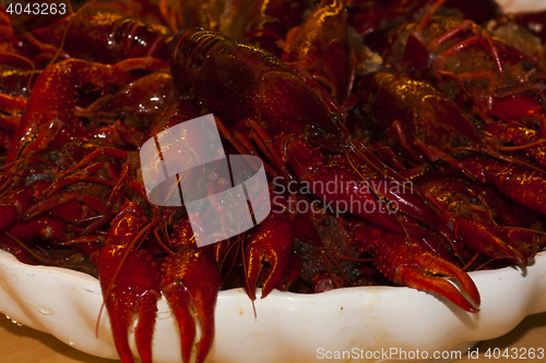 Image of crayfish