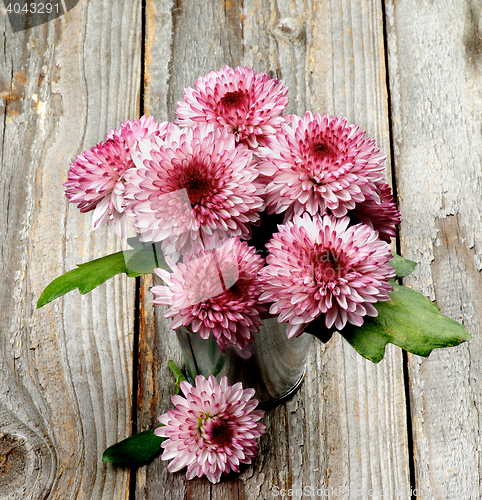 Image of Bunch of Pink and Red Chrysanthemum