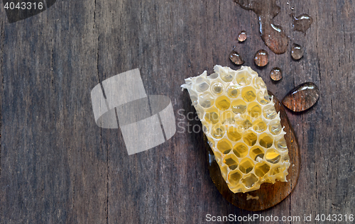 Image of sweet honeycombs with honey isolated