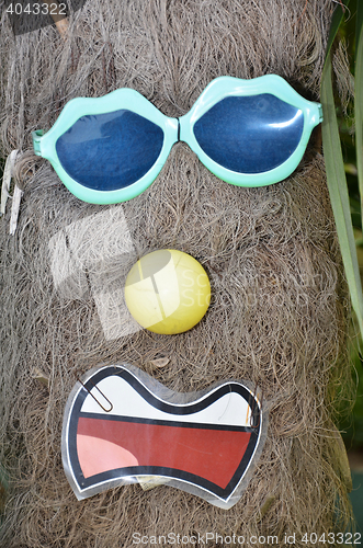 Image of Funny photo of a tree and sunglass