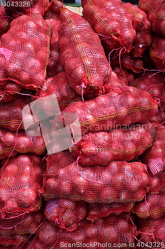 Image of Sacs containing Large onion stacked for sale